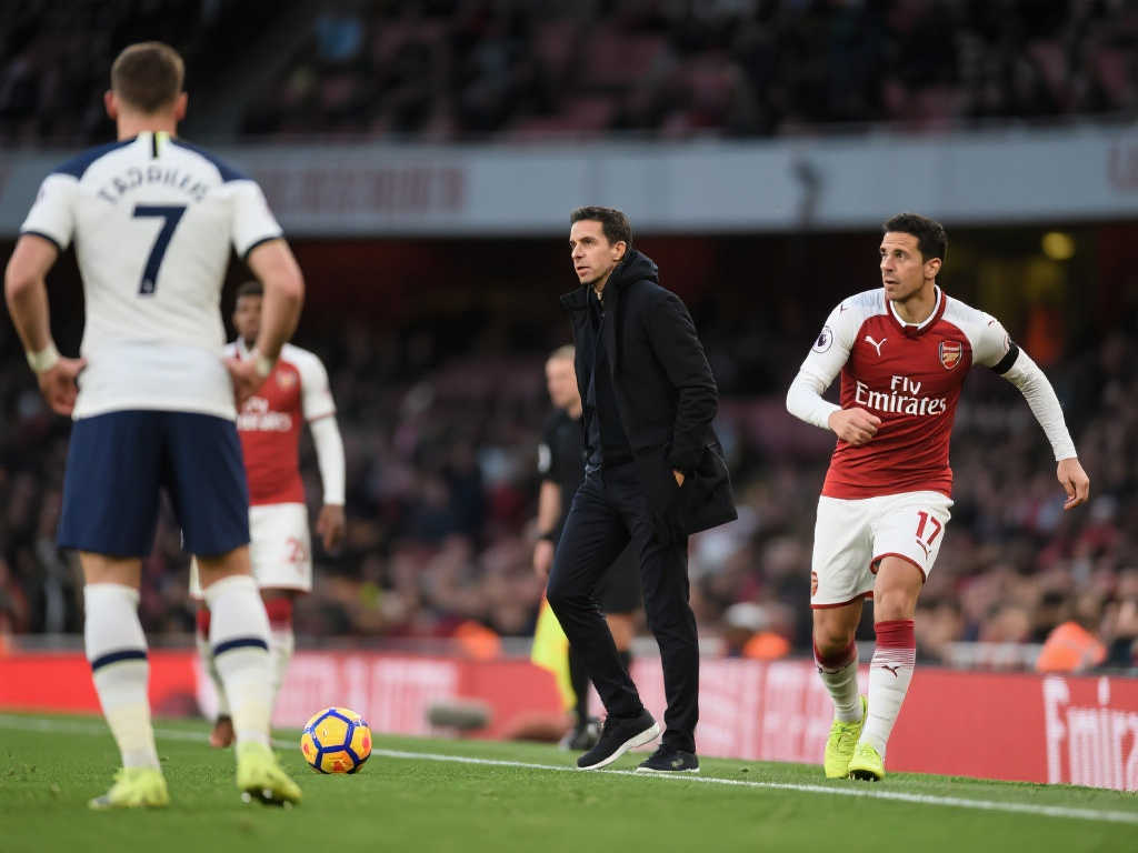 维拉在许多 维拉在许多